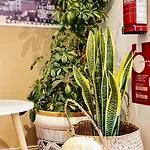 Charming 7 By Homeful Homes *