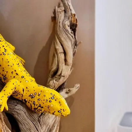 Charming 7 By Homeful Homes Lissabon