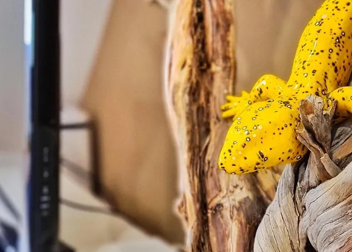 Charming 7 By Homeful Homes شقة Lisboa