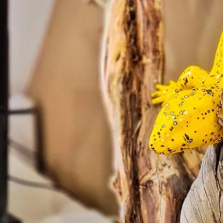 Charming 7 By Homeful Homes Апартаменти Лісабон